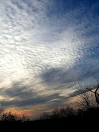 Low angle view of silhouette trees against sky at sunset