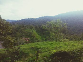 Scenic view of mountains