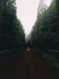 Mid distance view of young man standing on road amidst trees in forest