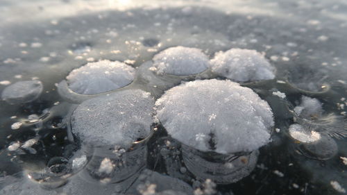 Close-up of frozen water