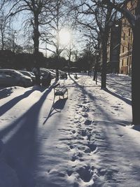 Snow covered bare trees in city