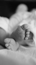 Close-up of baby lying down