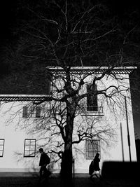 Silhouette people walking by bare tree against building