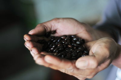 Close-up of hand holding fruit