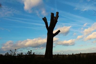 Silhouette of cactus by tree against sky