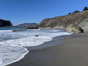Scenic view of beach against clear sky