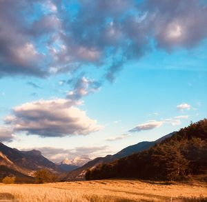 Scenic view of landscape against sky