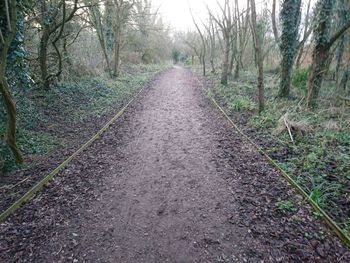 Dirt road amidst trees during autumn