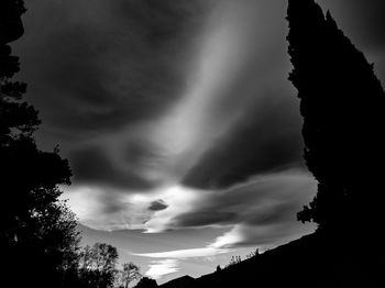 Low angle view of silhouette trees against sky at night