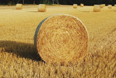 Hay bales on field
