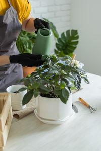 Midsection of man holding potted plant on table