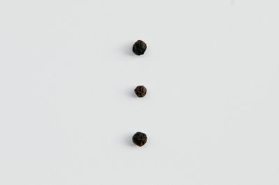 Ring over white background