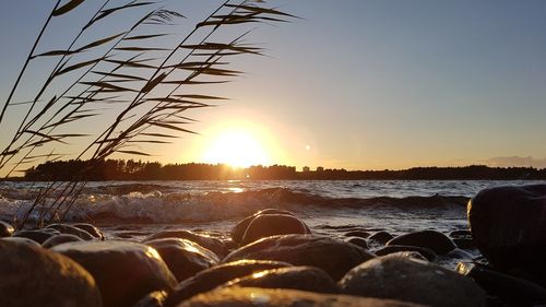 Close-up of beach against sky during sunset