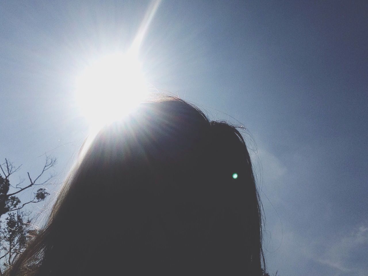 sun, sunbeam, lens flare, low angle view, sunlight, bright, sky, sunny, nature, blue, clear sky, tranquility, day, beauty in nature, outdoors, silhouette, back lit, brightly lit, shining, tree