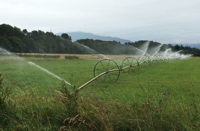 Scenic view of grassy field against sky