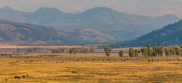 Scenic view of landscape and mountains