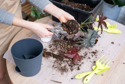 Cropped hand of woman holding potted plant