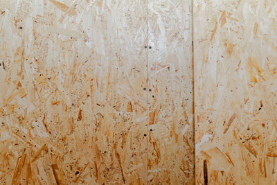 backgrounds