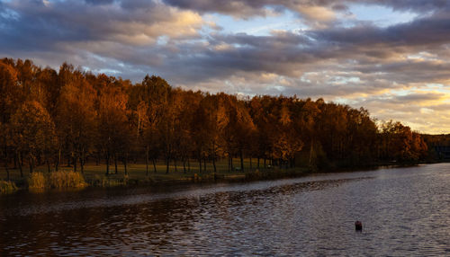 Scenic view of lake by trees against sky during sunset