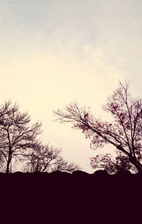 Silhouette trees against sky during sunset