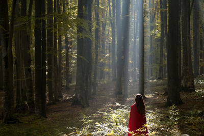 Rear view of woman standing in forest