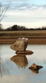 Scenic view of lake against sky