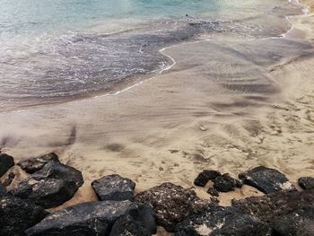 High angle view of coastline