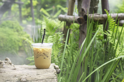 Close-up of drink on table