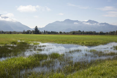 natural environment
