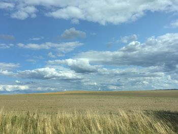 Scenic view of field against sky