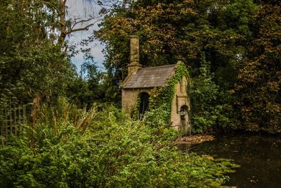 Built structure in forest