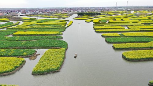 High angle view of agricultural field