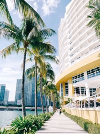 Palm trees by modern buildings against sky in city