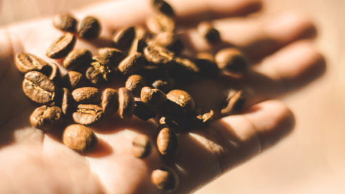 Cropped hand holding coffee beans