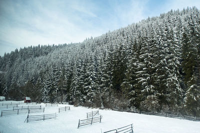 Snow covered land against sky