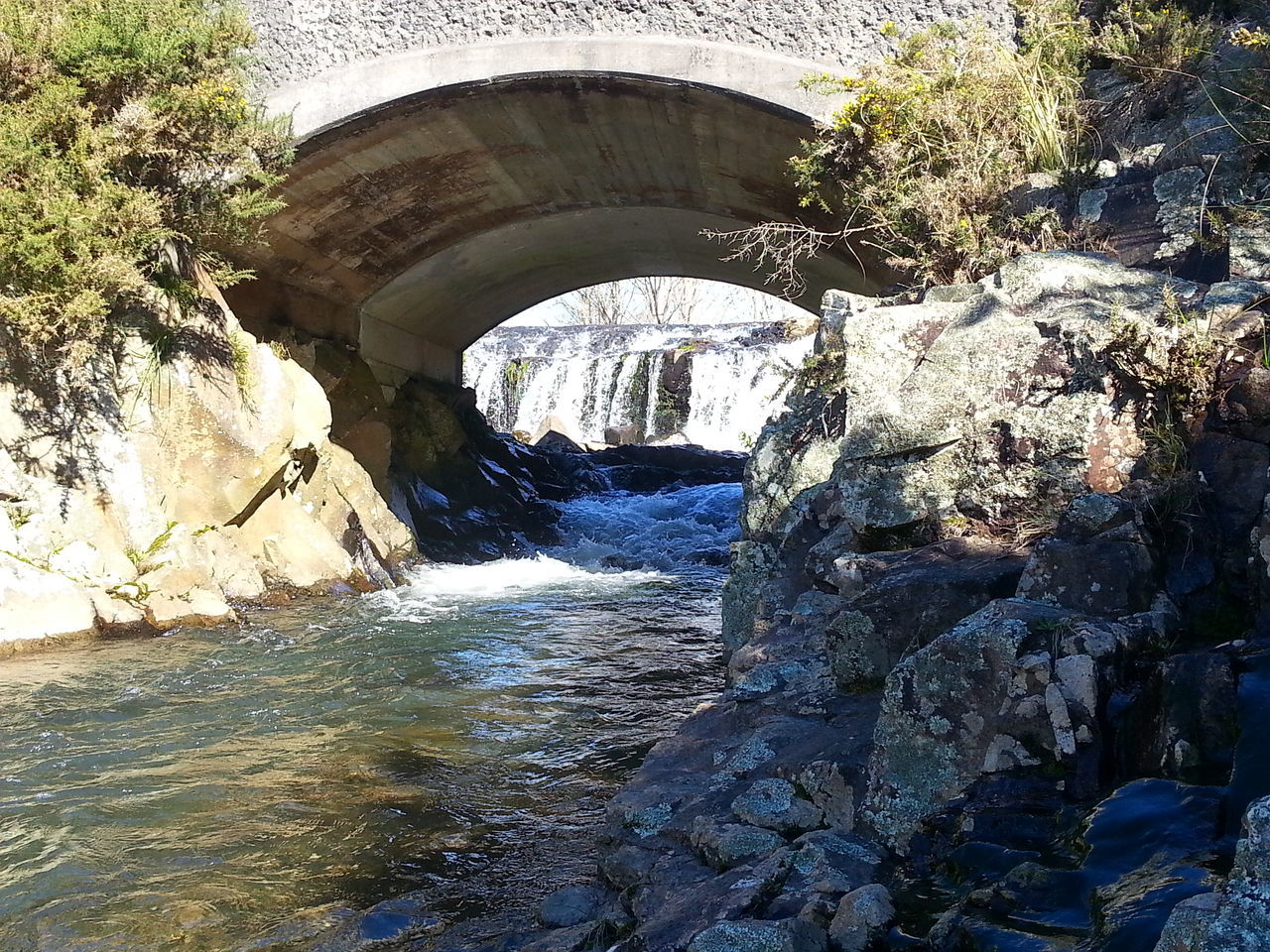 built structure, architecture, water, arch, tree, snow, winter, nature, building exterior, day, the way forward, stream, river, no people, outdoors, season, cold temperature, flowing water, rock - object, tranquility