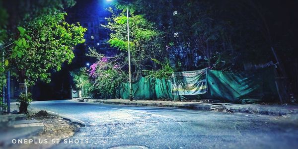 Panoramic shot of illuminated road amidst trees at night