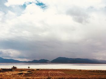 Scenic view of field against sky