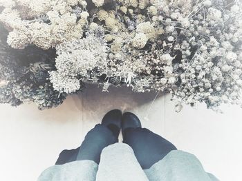 Low section of man standing on cherry blossom