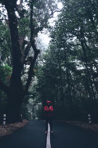 Rear view of man standing by trees in forest