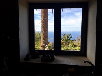 Potted plants on window sill in front of sea