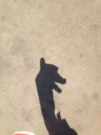 shadow