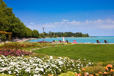 Scenic view of sea against blue sky