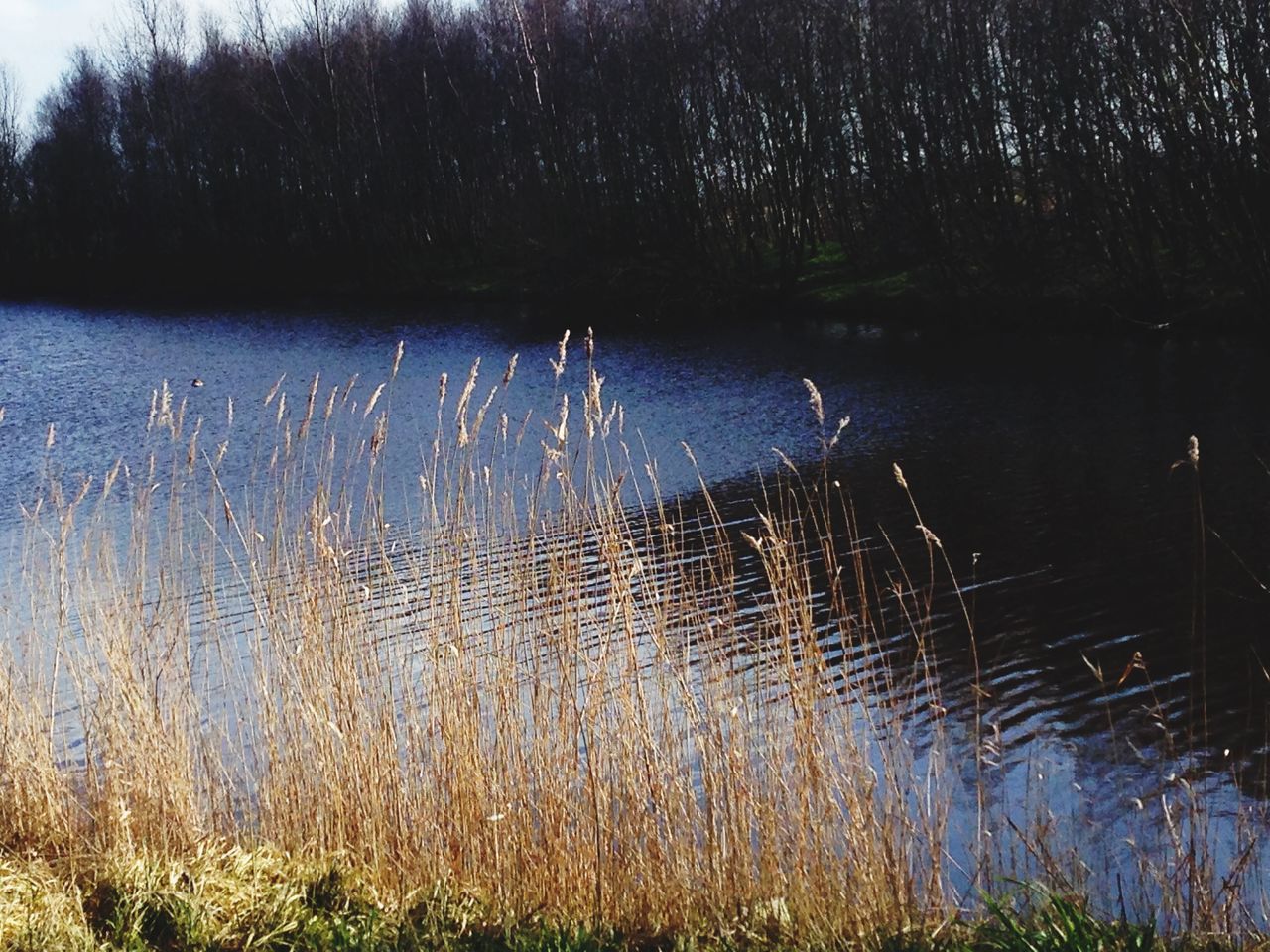 Speeltuin Groengebied Weidevenne (Weidelandpad)