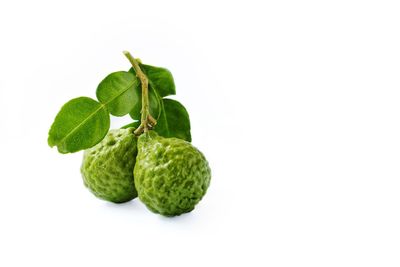 Close-up of fruit against white background