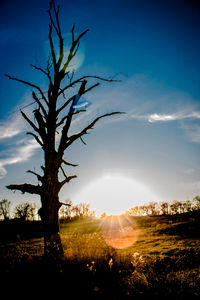 Scenic view of landscape against sky at sunset