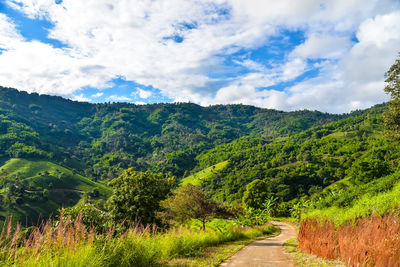 Scenic view of landscape against sky