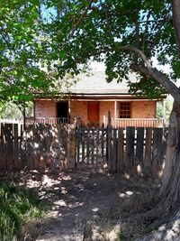 Exterior of building by trees on field