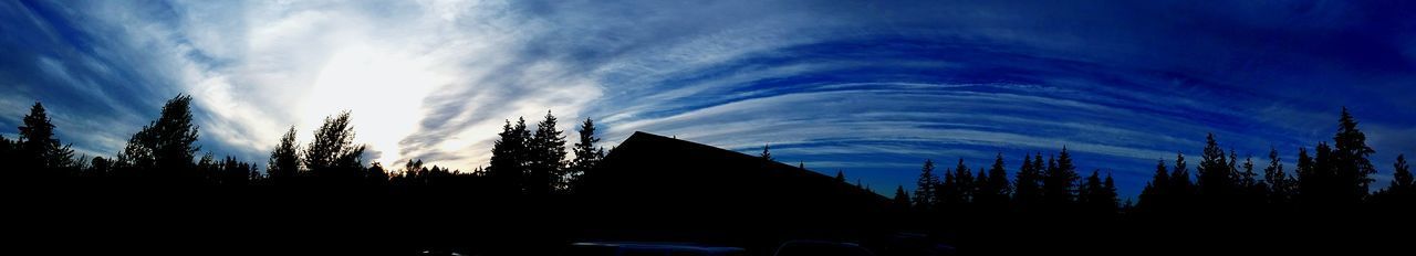 Low angle view of silhouette trees against sky at sunset