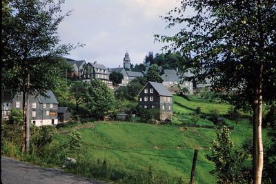Houses and trees in village against sky